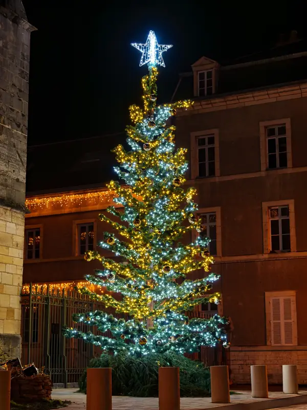 Sapin habillé de lumière bleue en centre-bourg