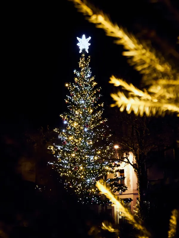Sapin naturel habillé de guirlandes LED et d'une étoile