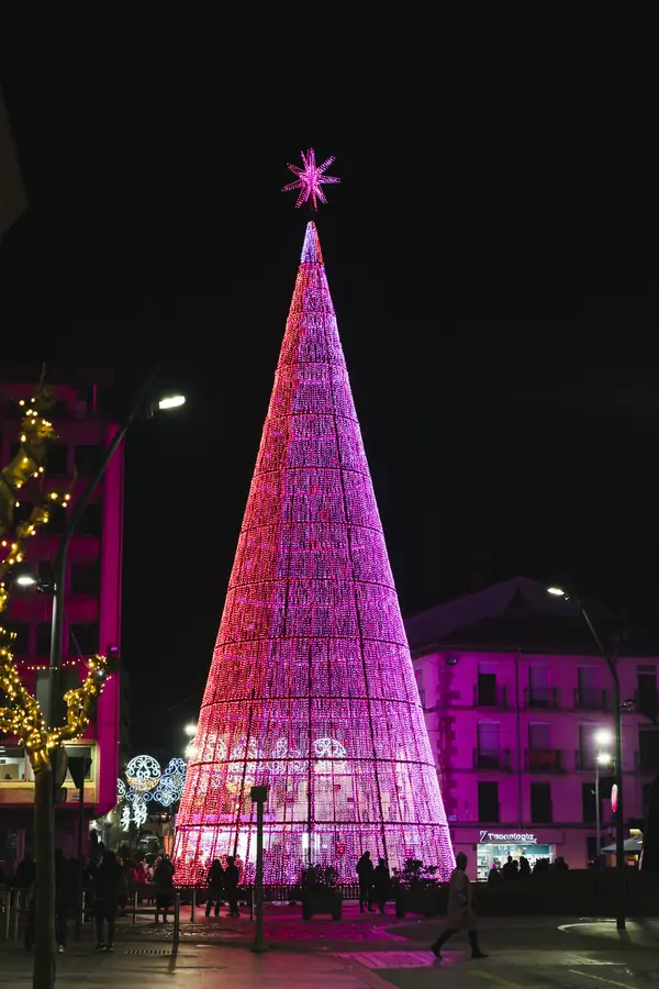Sapin monumental rose sur l'avenue, Soria