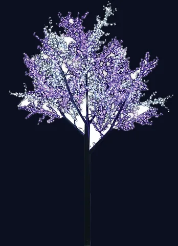 Cerisier en fleurs