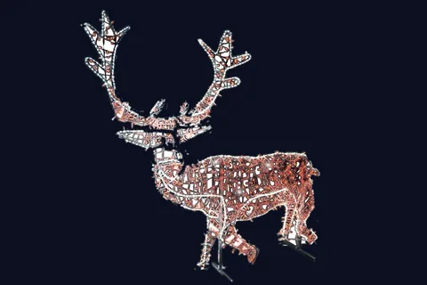 Jojo le grand cerf