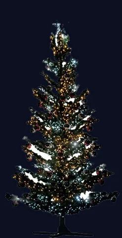Sapin Sapissime