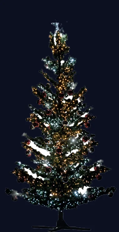 Sapin Sapissime