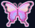 Papillon irisé de face