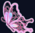 Papillon nervuré de profil