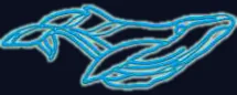 Baleine bleue