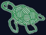 Tortue marine verte