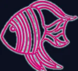 Poisson-ange rose