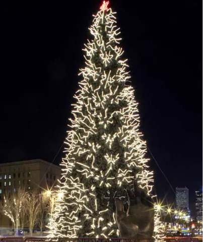 Arbres végétaux Grande échelle