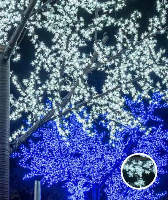 Cerisier Nature LED
