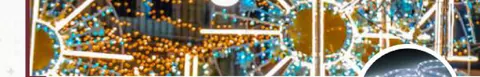 Tape Light ILMEX-LED SMD5050 tube transparent 24V (coupe 10 cm)