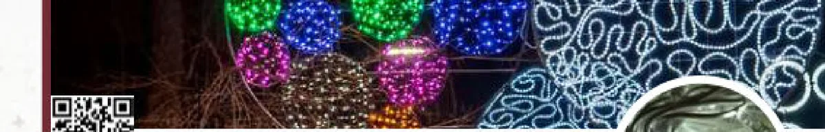 Guirlande lumineuse Flash ILMEX-LED 12 m 3 sections 230V câble caoutchouc
