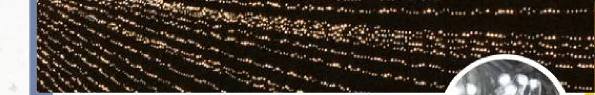 Guirlande lumineuse ILMEX-LED 10 m 2 sections 24V câble PVC LED fixe