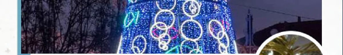 Guirlande lumineuse Flash ILMEX-LED 10 m 2 sections 24V câble PVC