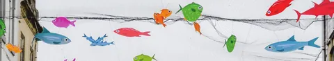 Poissons pour Seaweed