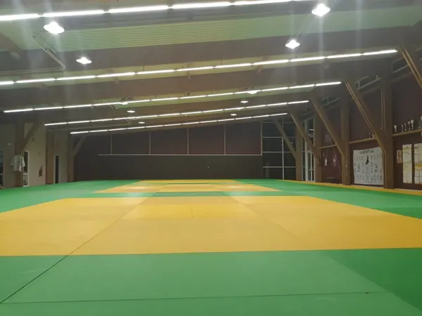 Dojo Coullon, Gien (45) : dojo, aire de jeu éclairée par Speqtris