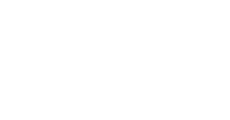 BRO Brumisation