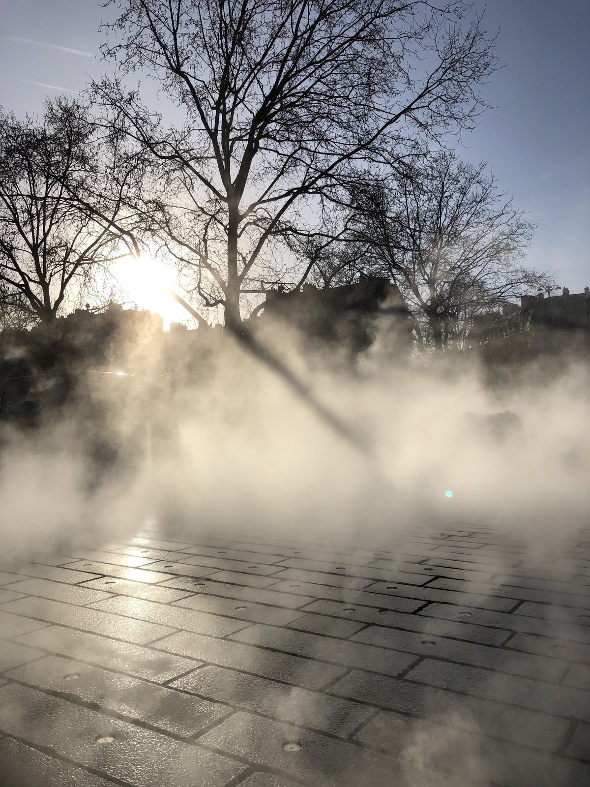 Brume BRO au ras d'un dallage de pierre, à contre-jour sous les arbres